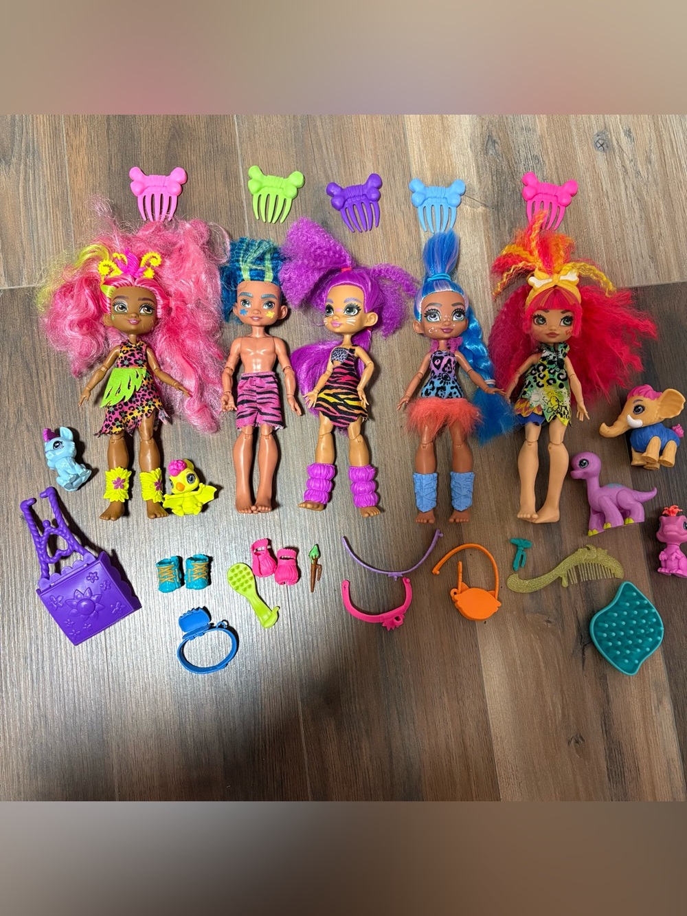 Mattel Cave Club Dolls Mix 5 Dolls 5 Pets and Mixed Accessories Lot Bundle
